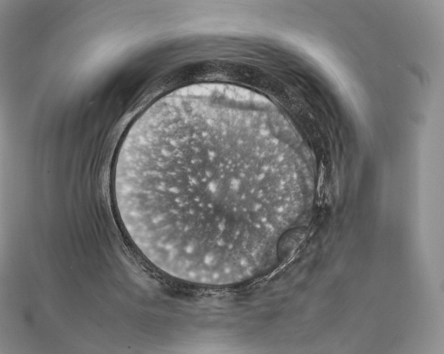 X0000111350099200908211243