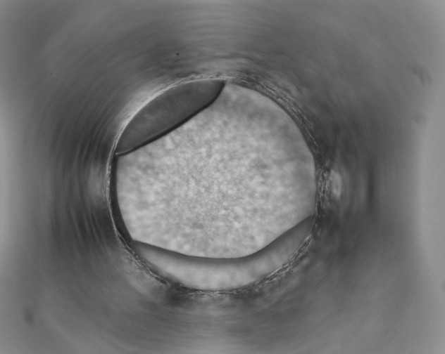 X0000111350100200908211243