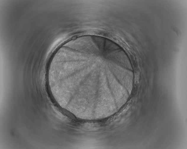 X0000111350101200908211243
