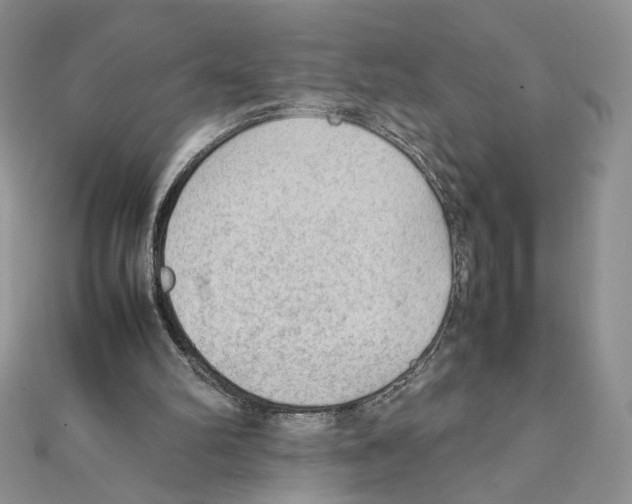 X0000111350102200908211243