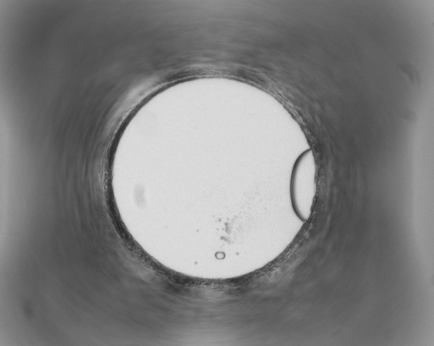 X0000111350103200908211243