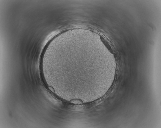 X0000111350104200908211243