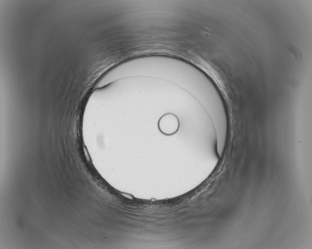 X0000111350105200908211243