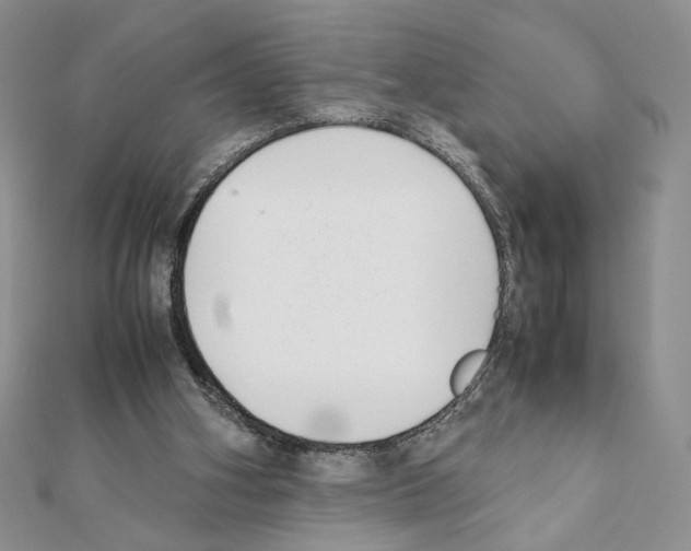 X0000111350106200908211243