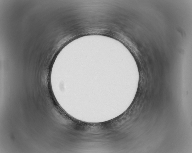 X0000111350107200908211243
