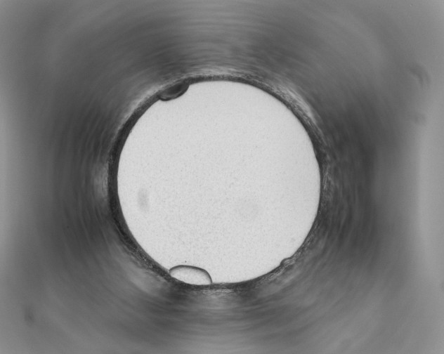 X0000111350108200908211243