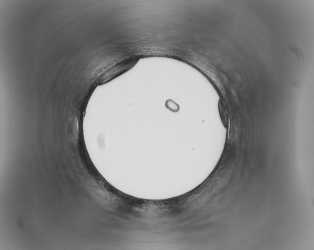 X0000111350109200908211243
