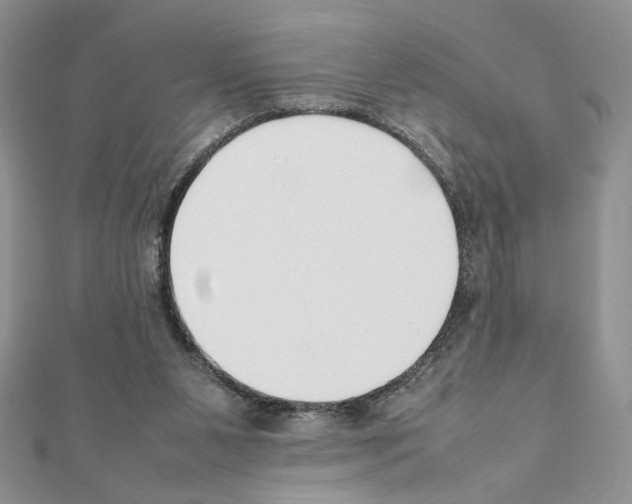 X0000111350111200908211243