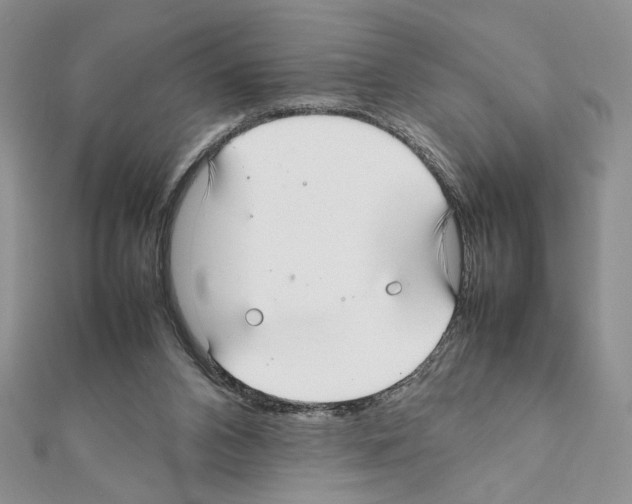 X0000111350112200908211243