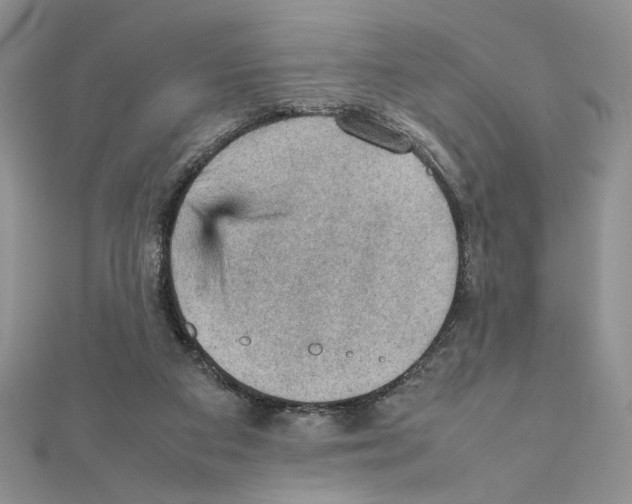 X0000111350113200908211243
