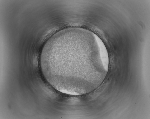 X0000111350114200908211243