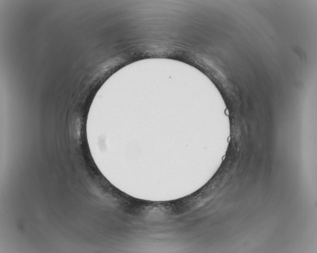 X0000111350115200908211243