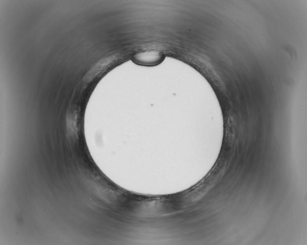 X0000111350116200908211243