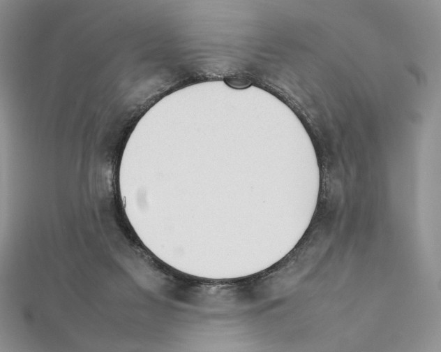 X0000111350117200908211243