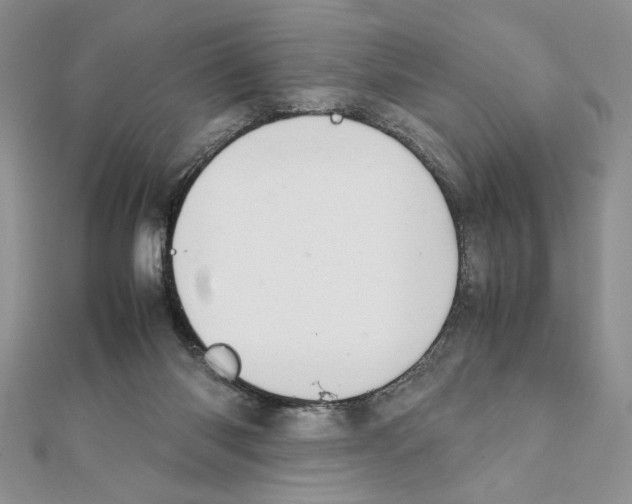 X0000111350118200908211243