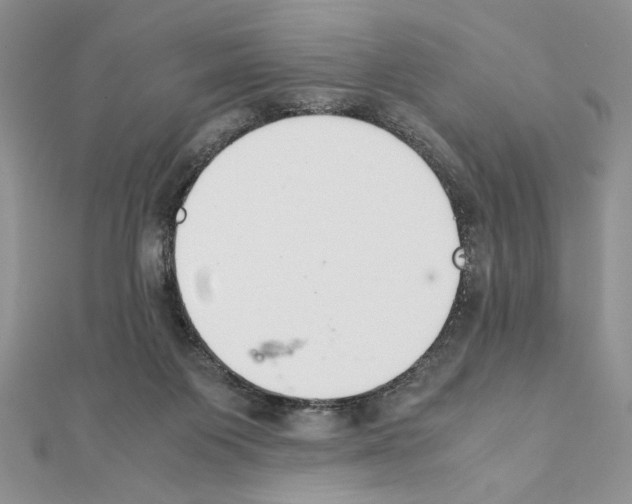 X0000111350119200908211243