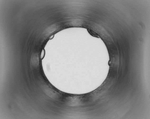 X0000111350120200908211243