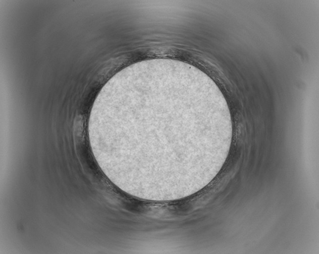 X0000111350121200908211243
