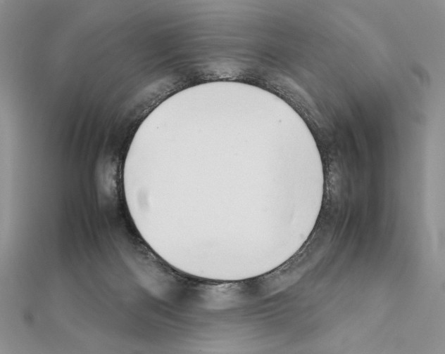 X0000111350122200908211243