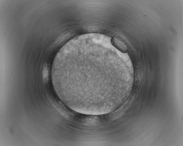 X0000111350124200908211243