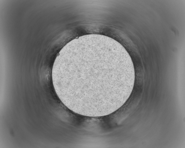 X0000111350125200908211243