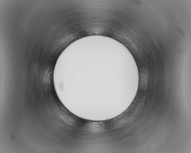 X0000111350126200908211243