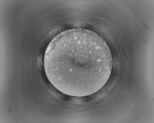 X0000111350127200908211243