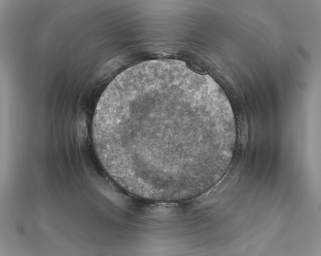 X0000111350128200908211243