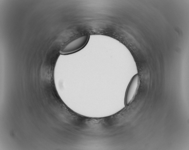X0000111350129200908211243