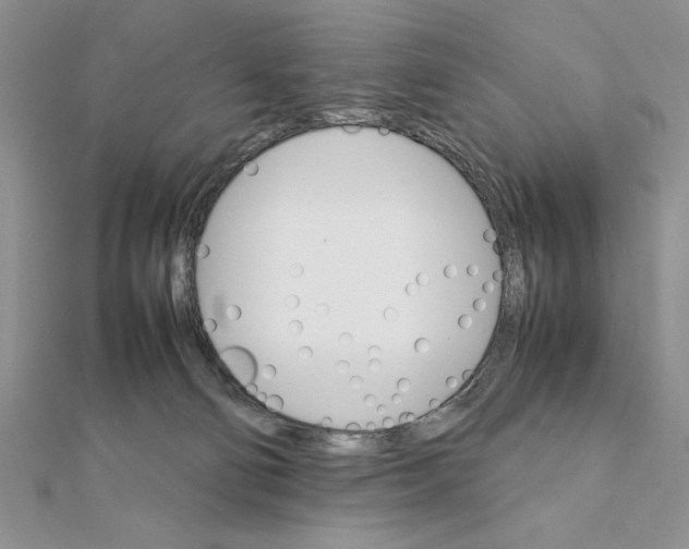 X0000111350130200908211243