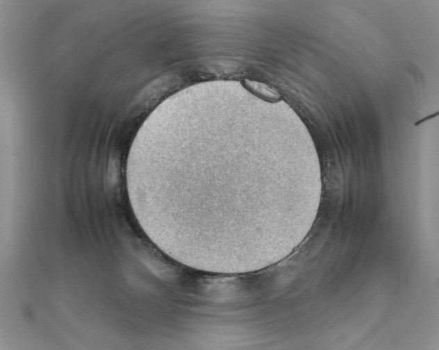 X0000111350132200908211243