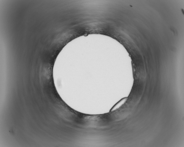 X0000111350133200908211243