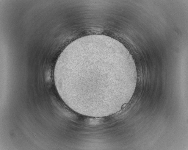X0000111350134200908211243