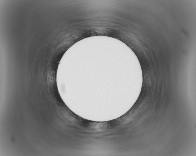 X0000111350135200908211243