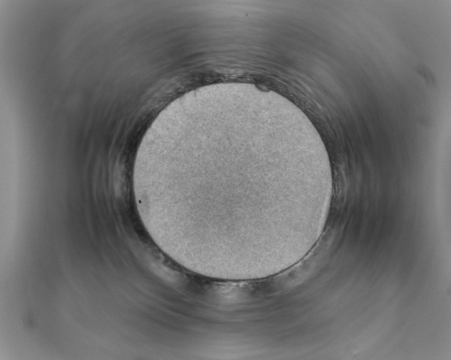 X0000111350136200908211243