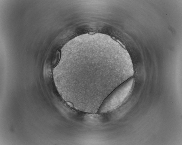 X0000111350137200908211243