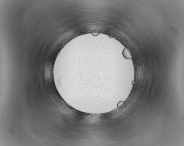 X0000111350138200908211243
