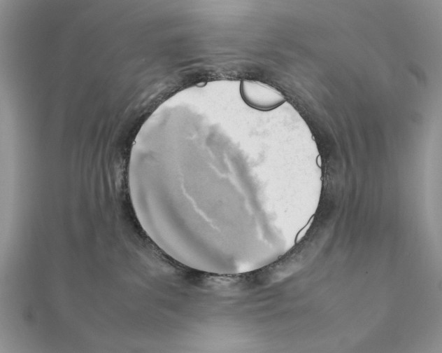X0000111350139200908211243