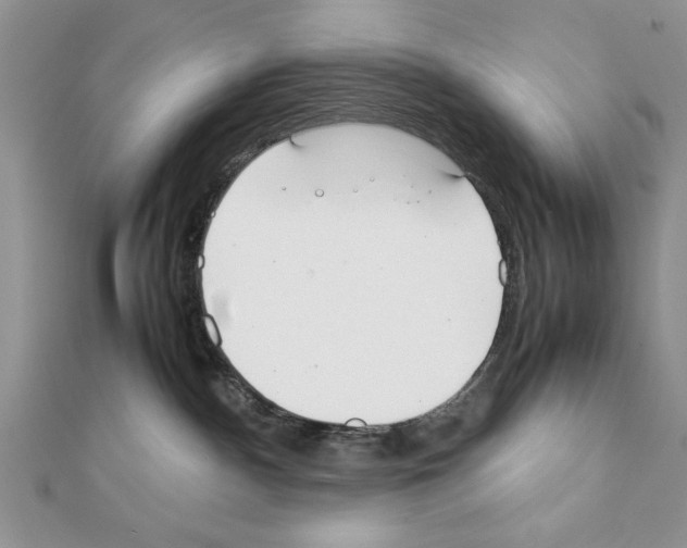 X0000111350140200908211242