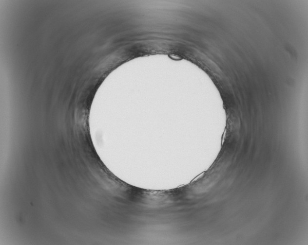X0000111350141200908211242