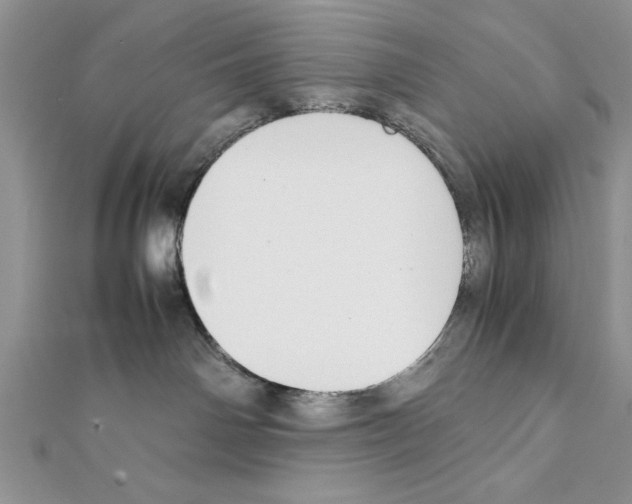 X0000111350142200908211242
