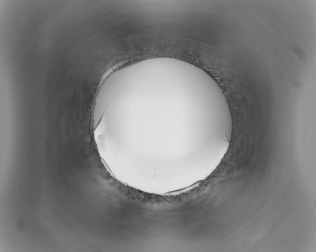 X0000111350144200908211242