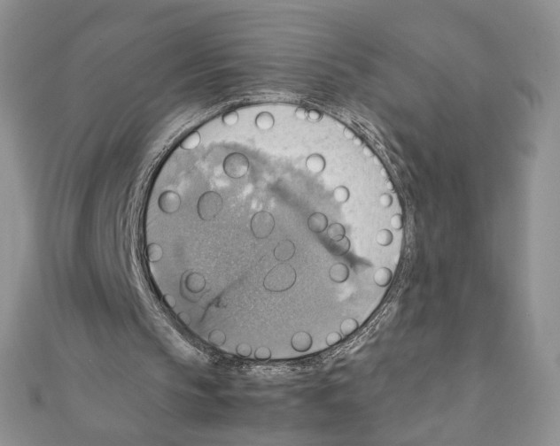X0000111350145200908211242