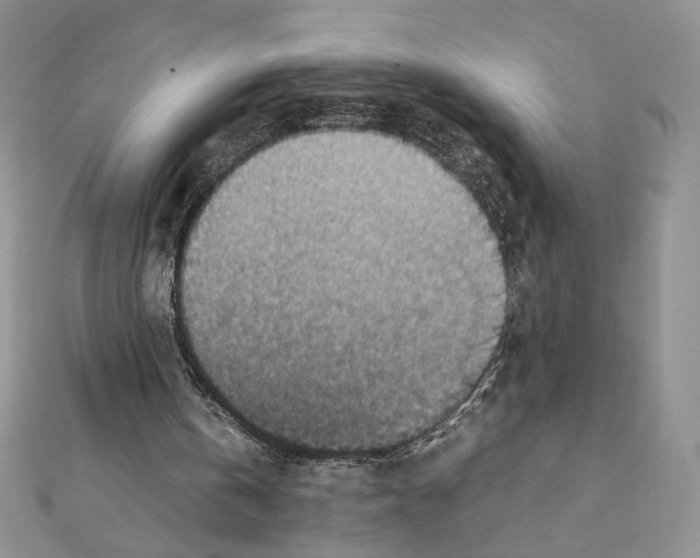 X0000111350146200908211242