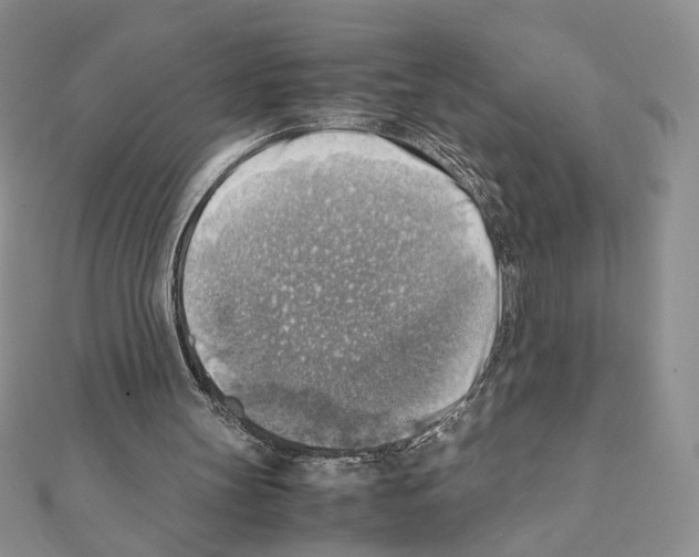 X0000111350147200908211242
