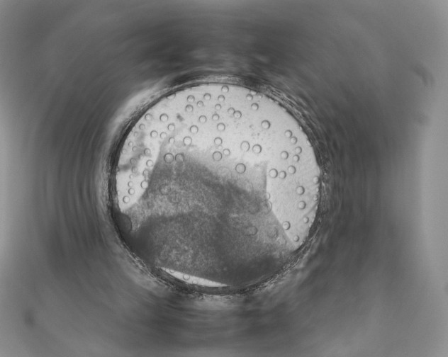 X0000111350149200908211242
