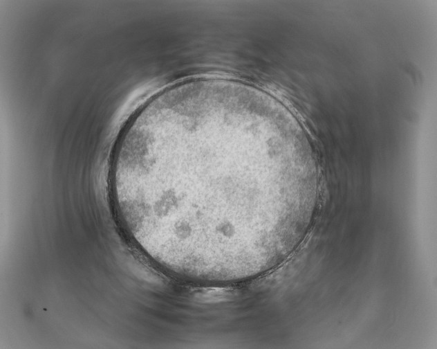 X0000111350151200908211242