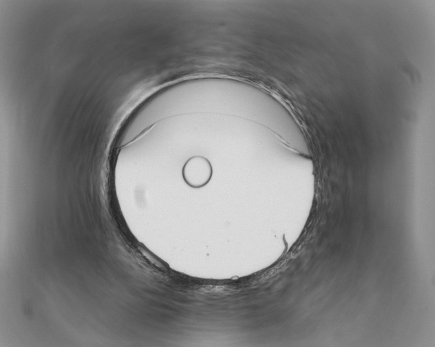 X0000111350152200908211242