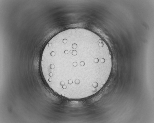 X0000111350153200908211242