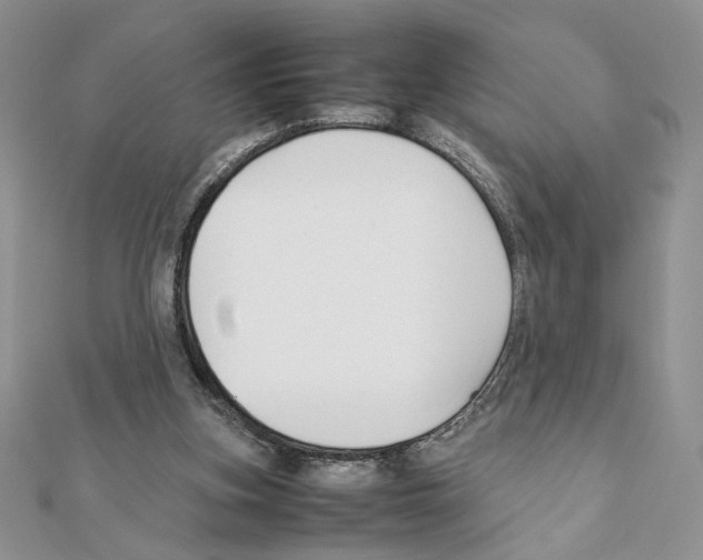 X0000111350155200908211242